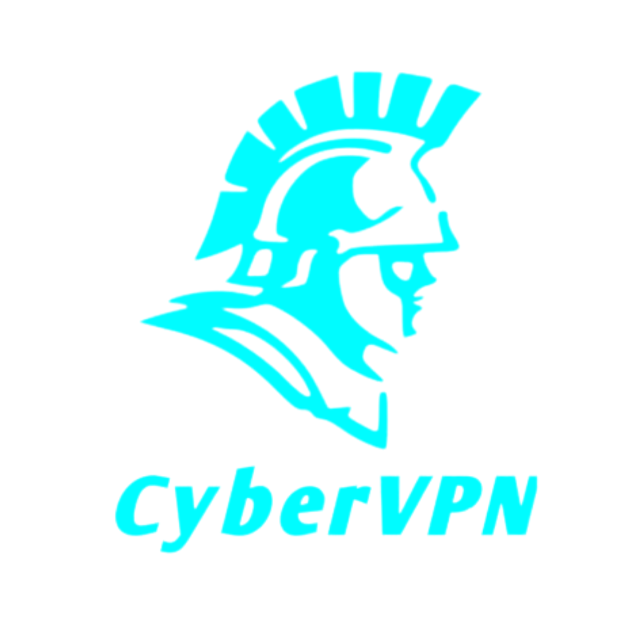 Cyber Marketplace